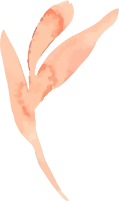 20221027-MCP402-234