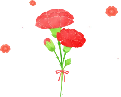 카네이션