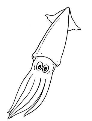 squid line art