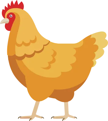 chicken_01
