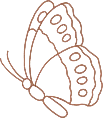 butterfly_line_art02.png