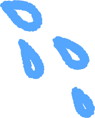 심플땀우