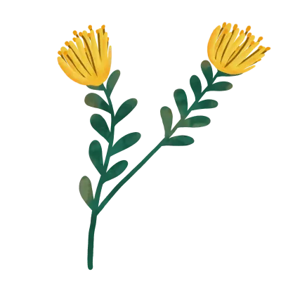 Blossom Flower