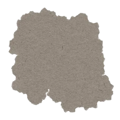 Ripped Paper Texture