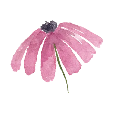 Textured Botanical Flower Watercolor