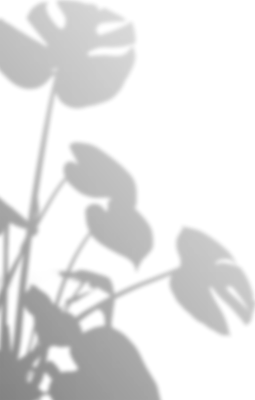 Transparent Blurry Shadow Overlay Background