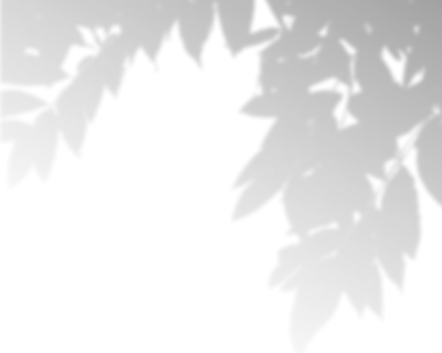 Transparent Blurry Shadow Overlay Background