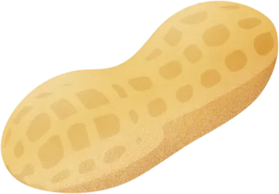 고소한 땅콩