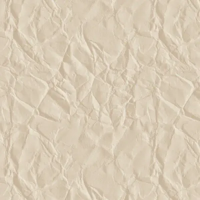 Ripped Paper Texture