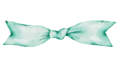 Ribbon bow ornament watercolor clipart