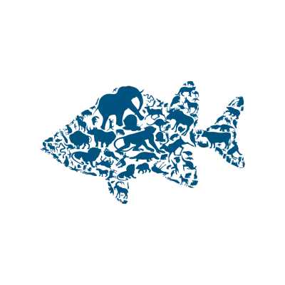 Fish an animal