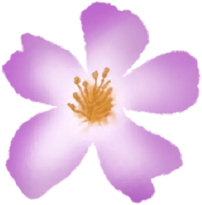 Flower Floral