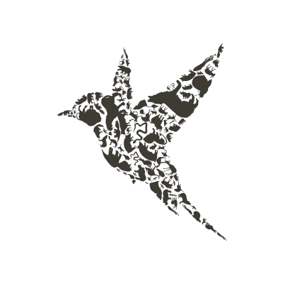 Bird an animal