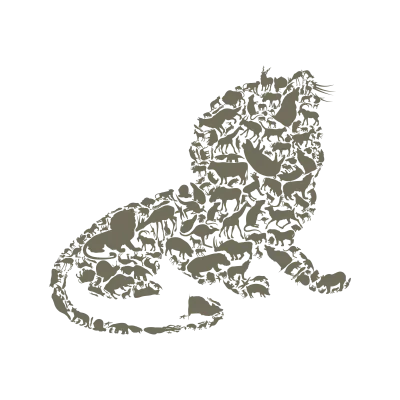 Lion3