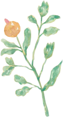 Muted Watercolor Floral and Botanical