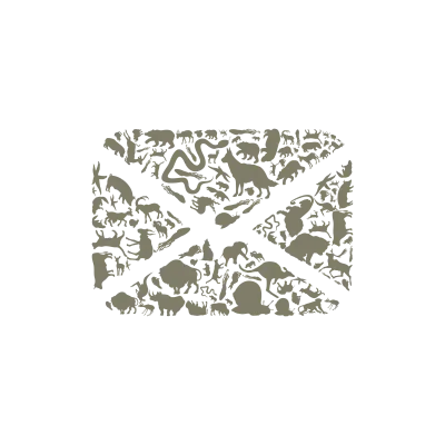 Letter an animal