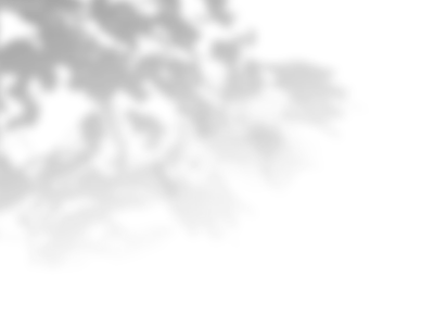 Transparent Blurry Shadow Overlay Background