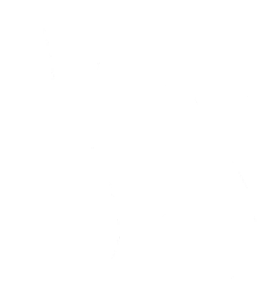Cute white rabbits in various poses