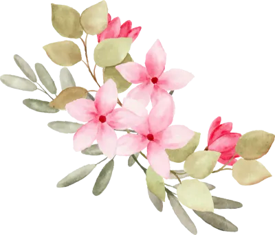 Watercolor pink flower arrangement.