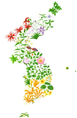 꽃 한반도