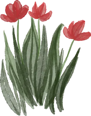 plant watercolor illustration