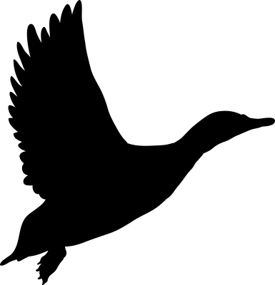 grouse poultry animal flying silhouette
