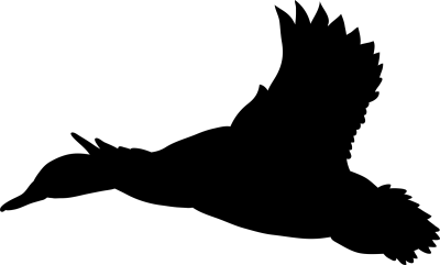 duck poultry animal flying silhouette