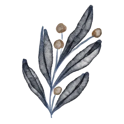 watercolor leaf floral element