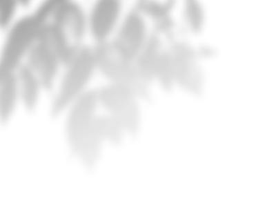 Transparent Blurry Shadow Overlay Background