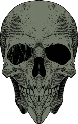 Human skull artwork illustration