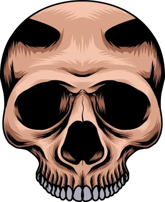 Skull Illustration