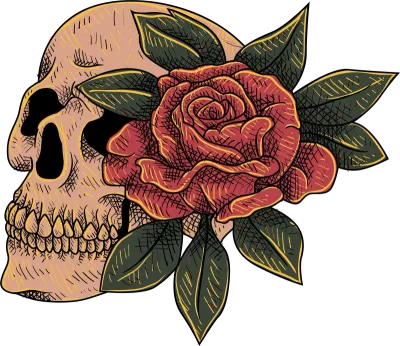 Skull Illustration
