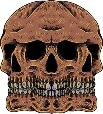 Skull Illustration
