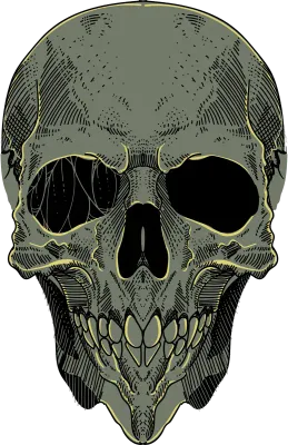 Skull artwork illustration