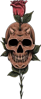 Skull Illustration