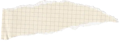Graph Ripped Paper