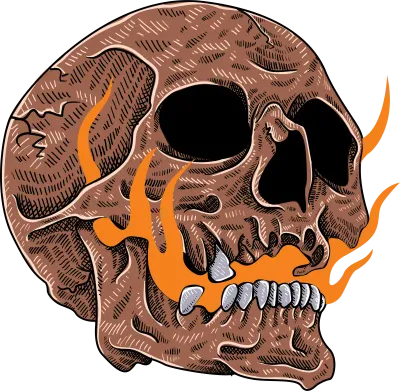 Skull Illustration