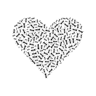 Ant heart