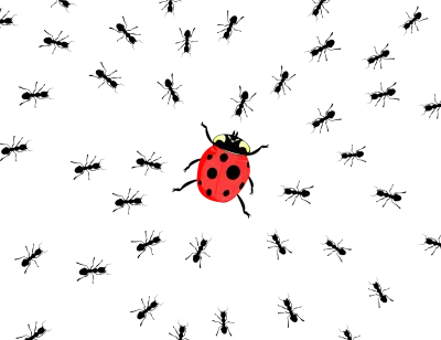 Hunting of ants2