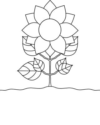 꽃 성장과정