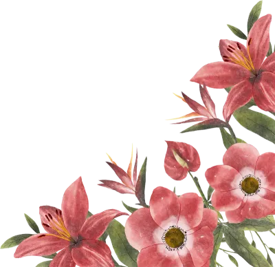 Watercolor Red Flower Background