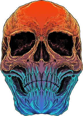Skull