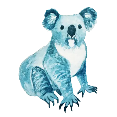 Watercolor Koala Illustration 수채화 코알라 그림