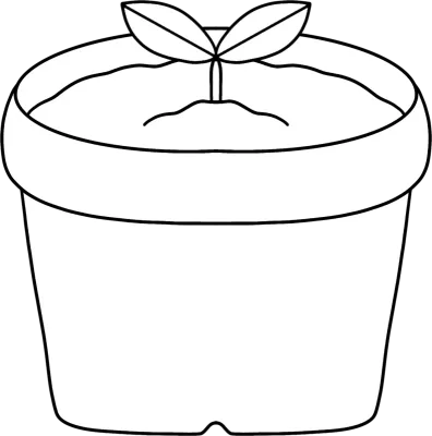 화분
