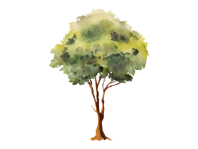Green trees watercolor