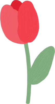 Red cute tulip flower illustration hand drawn. Kawaii floral in acrylic watercolor painted style.
