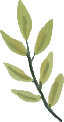 Floral Blossoms Leaves Folliage Element