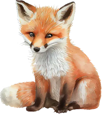 Fox Watercolor Illustration
