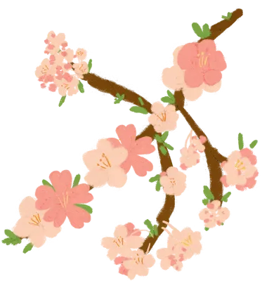 벚꽃