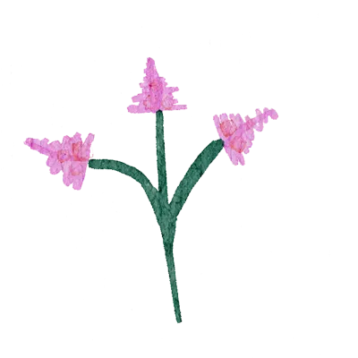 Field flowers. Watercolor illustrations. Wild plants. Pink. Blue. Yellow. Natural elements.